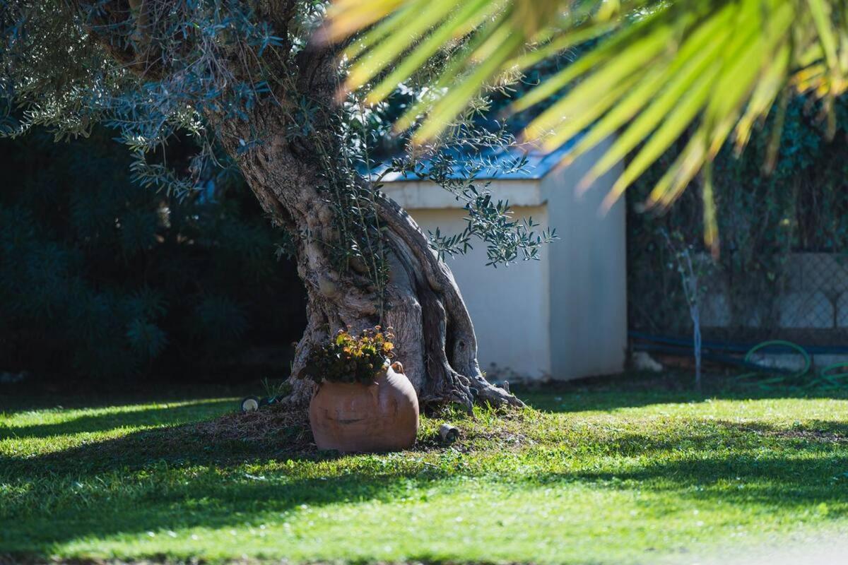 Villa Precioso Con Piscina Y Pista De Padel