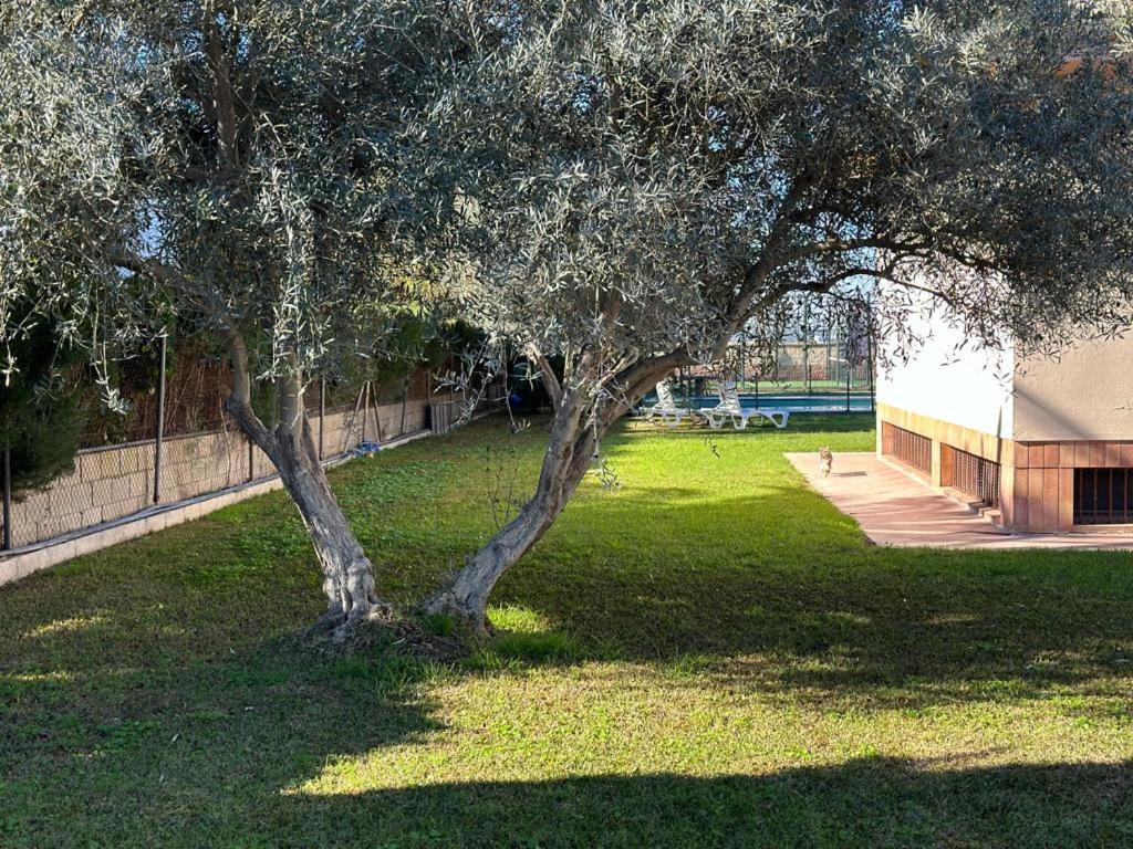 Villa Precioso Con Piscina Y Pista De Padel Montequinto